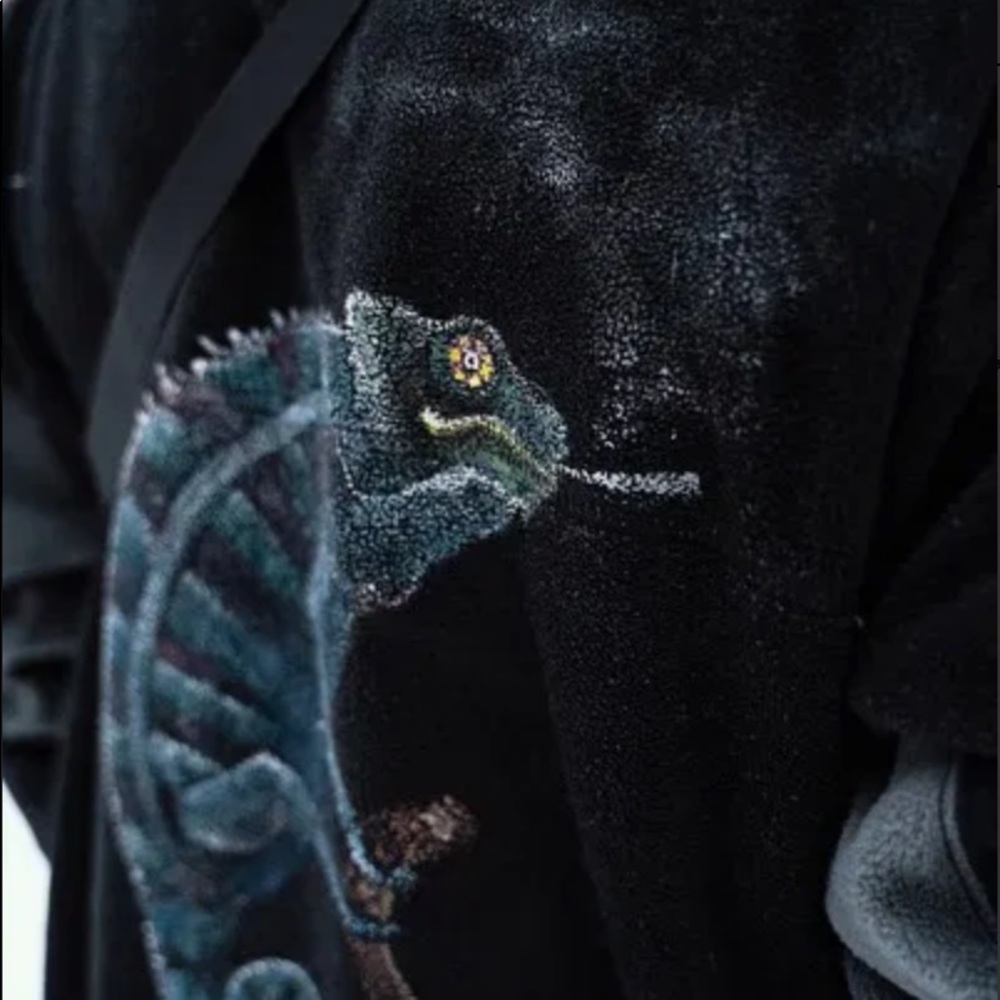 CAMELEON - Picture 3 of 3